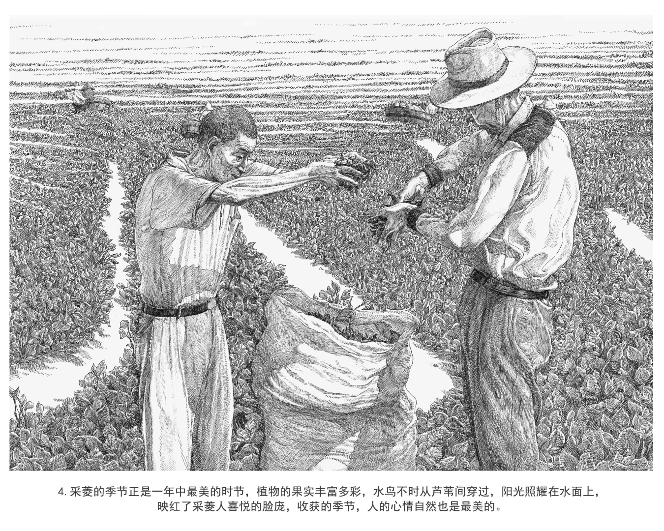 好创意国一（插画）