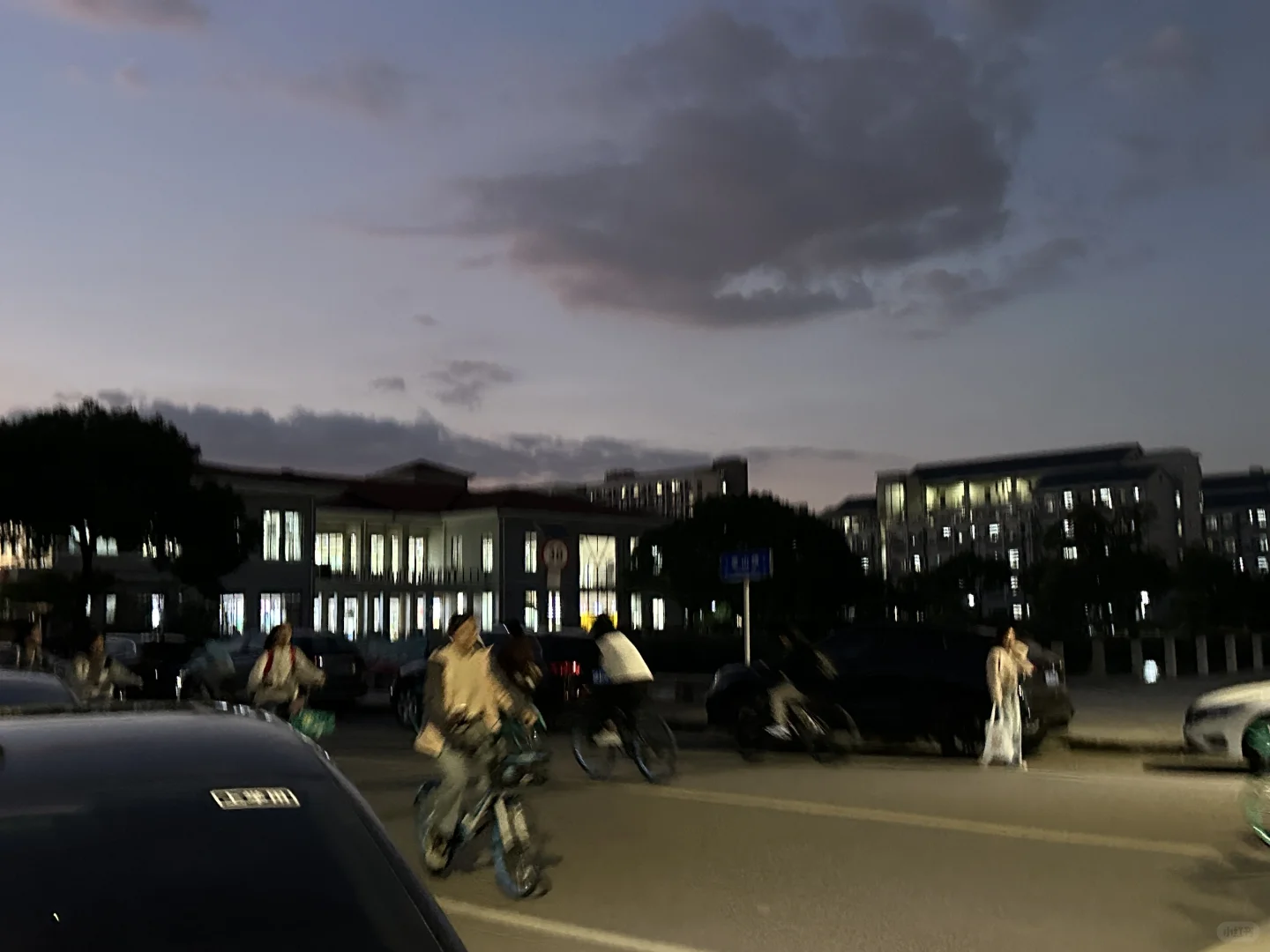 从头到尾呆在图书馆的周日