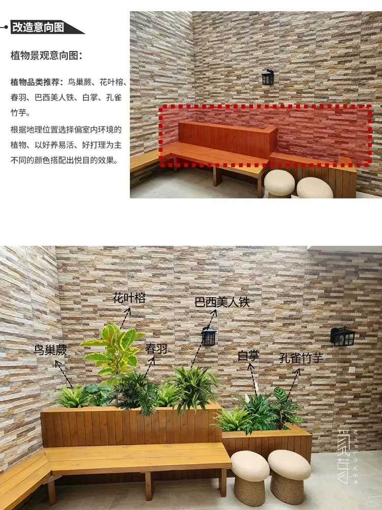 适合花园种的果树系列 花园一定要种棵果树