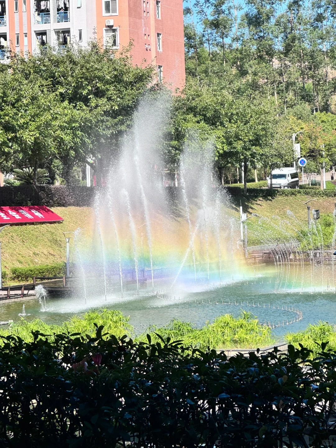 啊啊啊不是林业你也太好看了吧