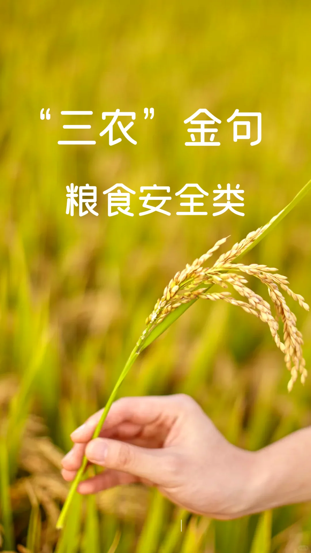 “三农”金句-粮食安全类