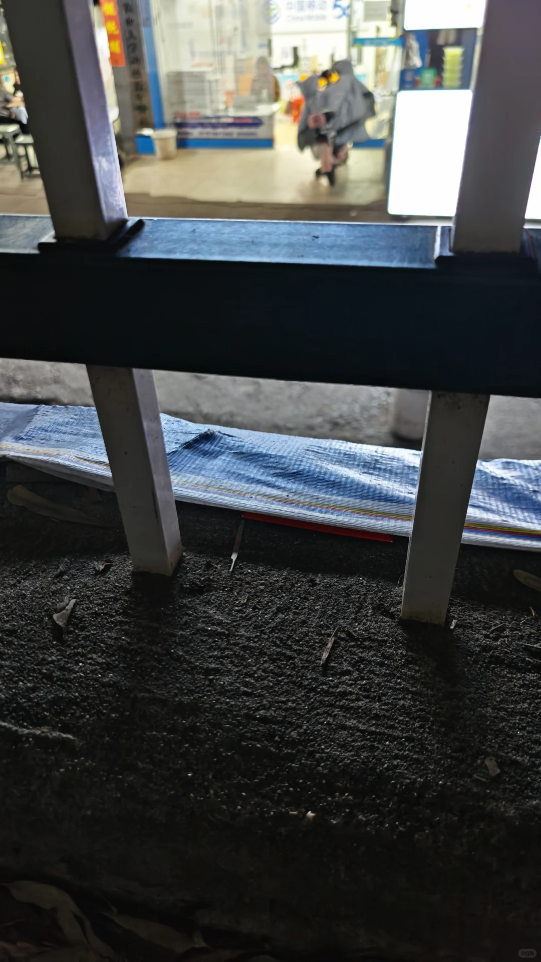 江西农业大学校园藏宝第二天