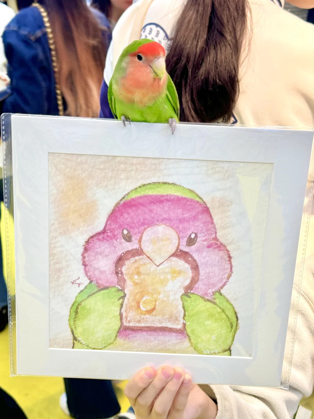 南京宠物博览会｜感谢各位鸟宝们光顾?