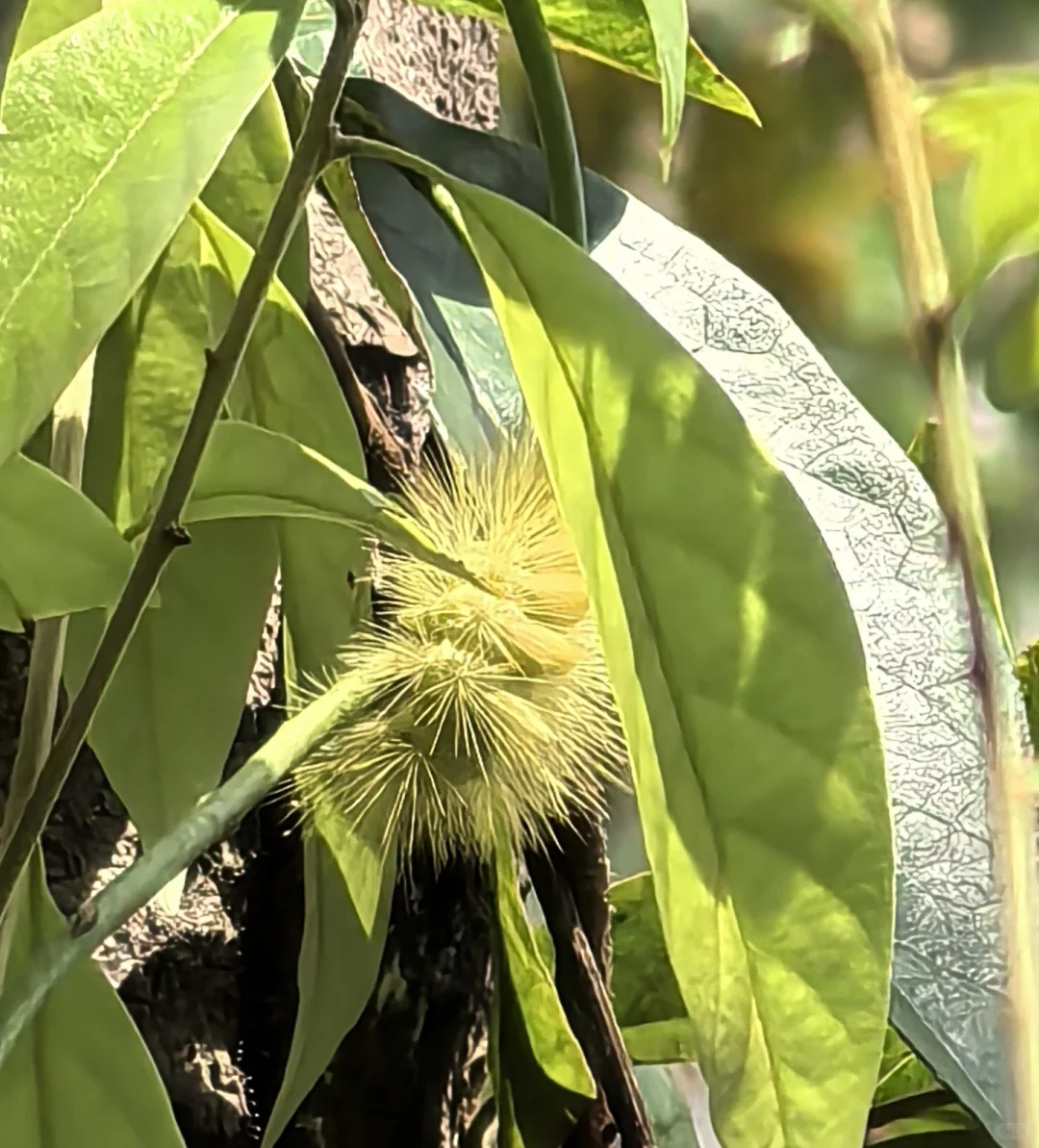 林业调查除了累，其他都挺好