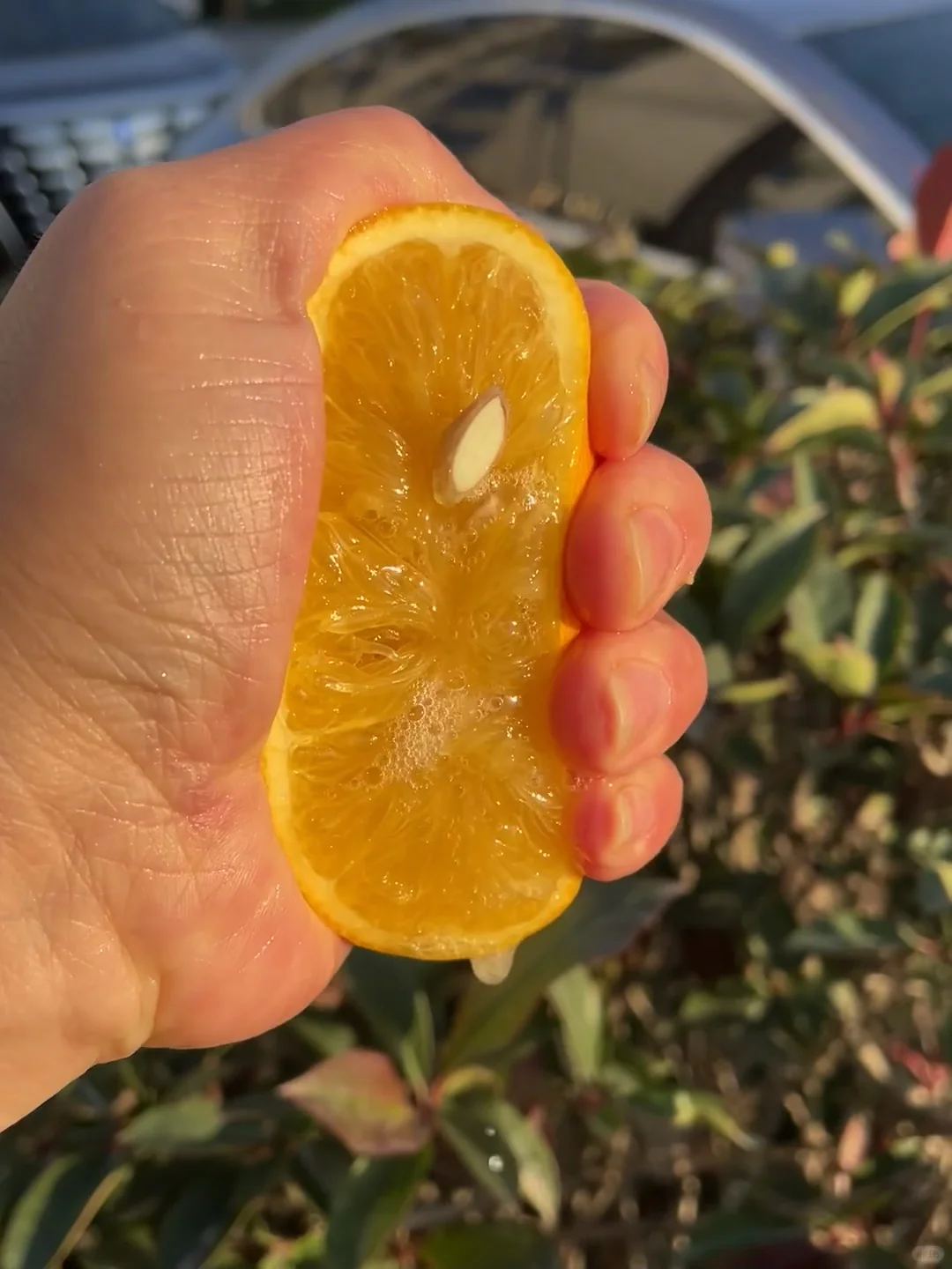 有没有姐妹可以救救这个快被淘汰的水果?