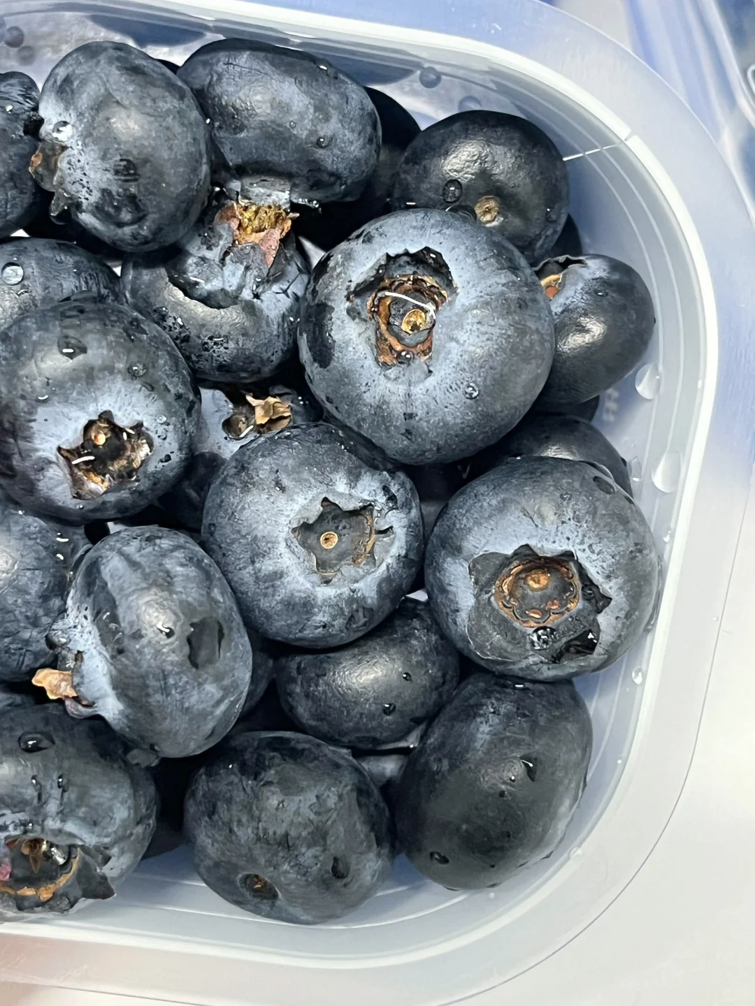 吃过褚橙吃蓝莓，这才是吃货的秋冬幸福感！