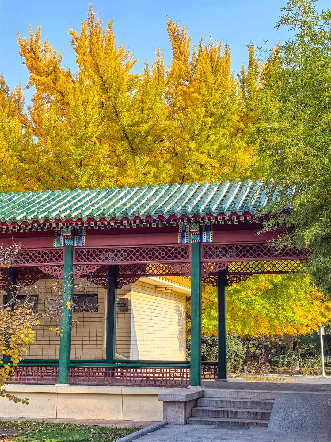 11.19全国农业展览馆｜打卡北京最后的秋天