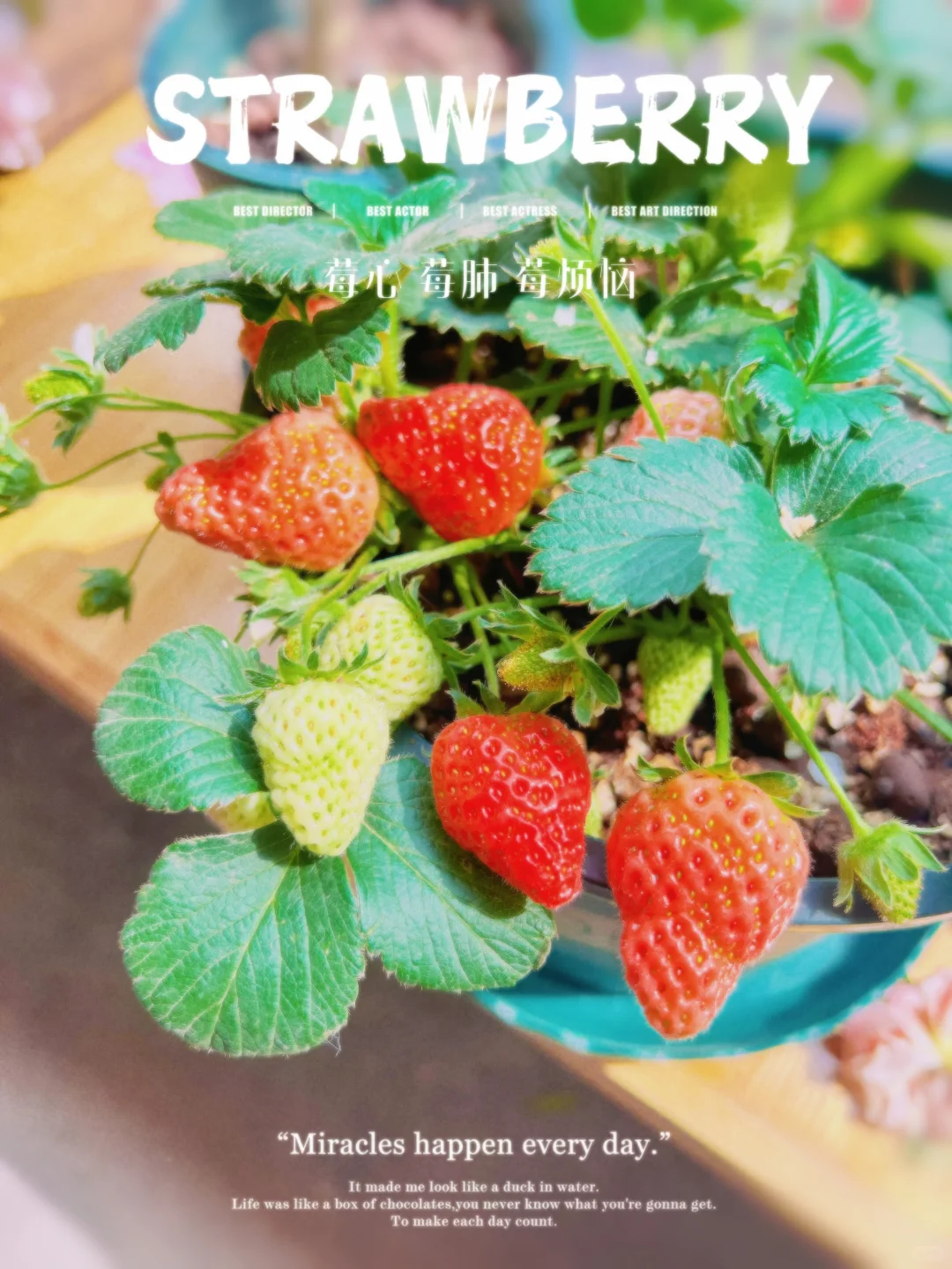 养花哪有种果快乐