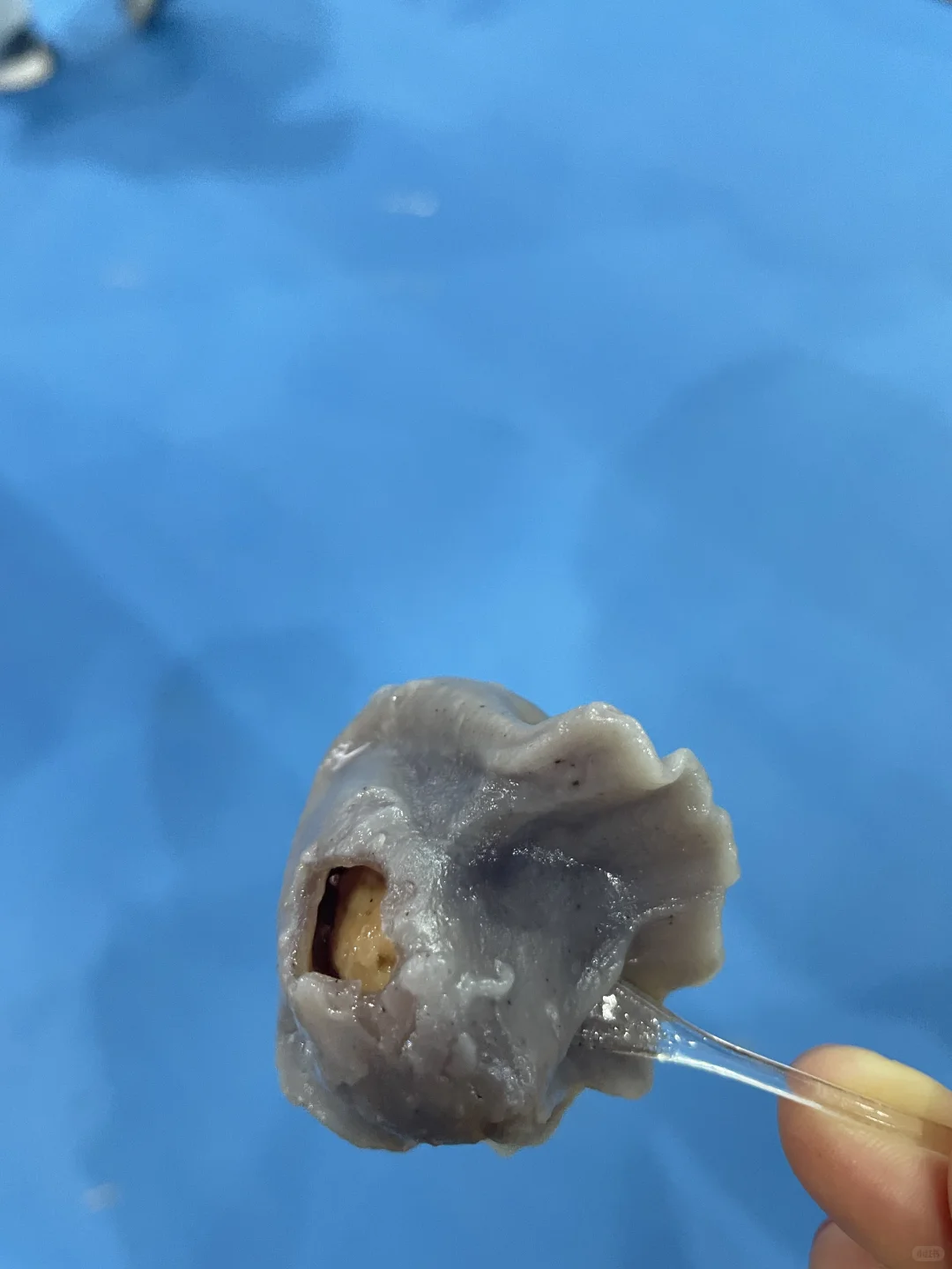 环球食品展别去了