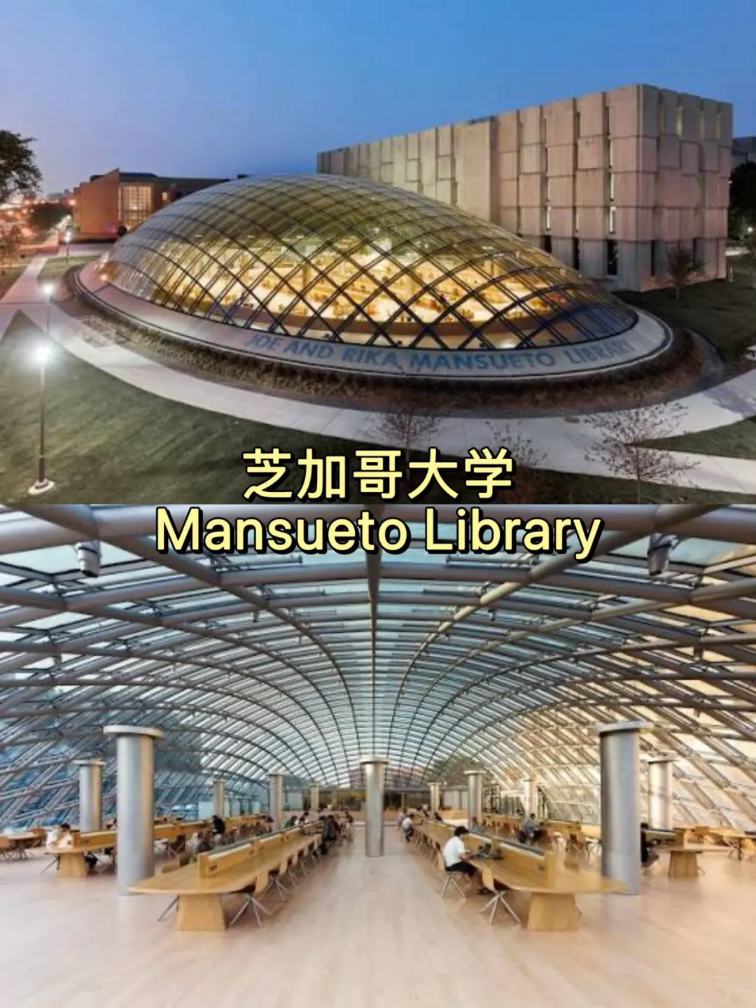 美国大学校园篇✨高颜值图书馆盘点