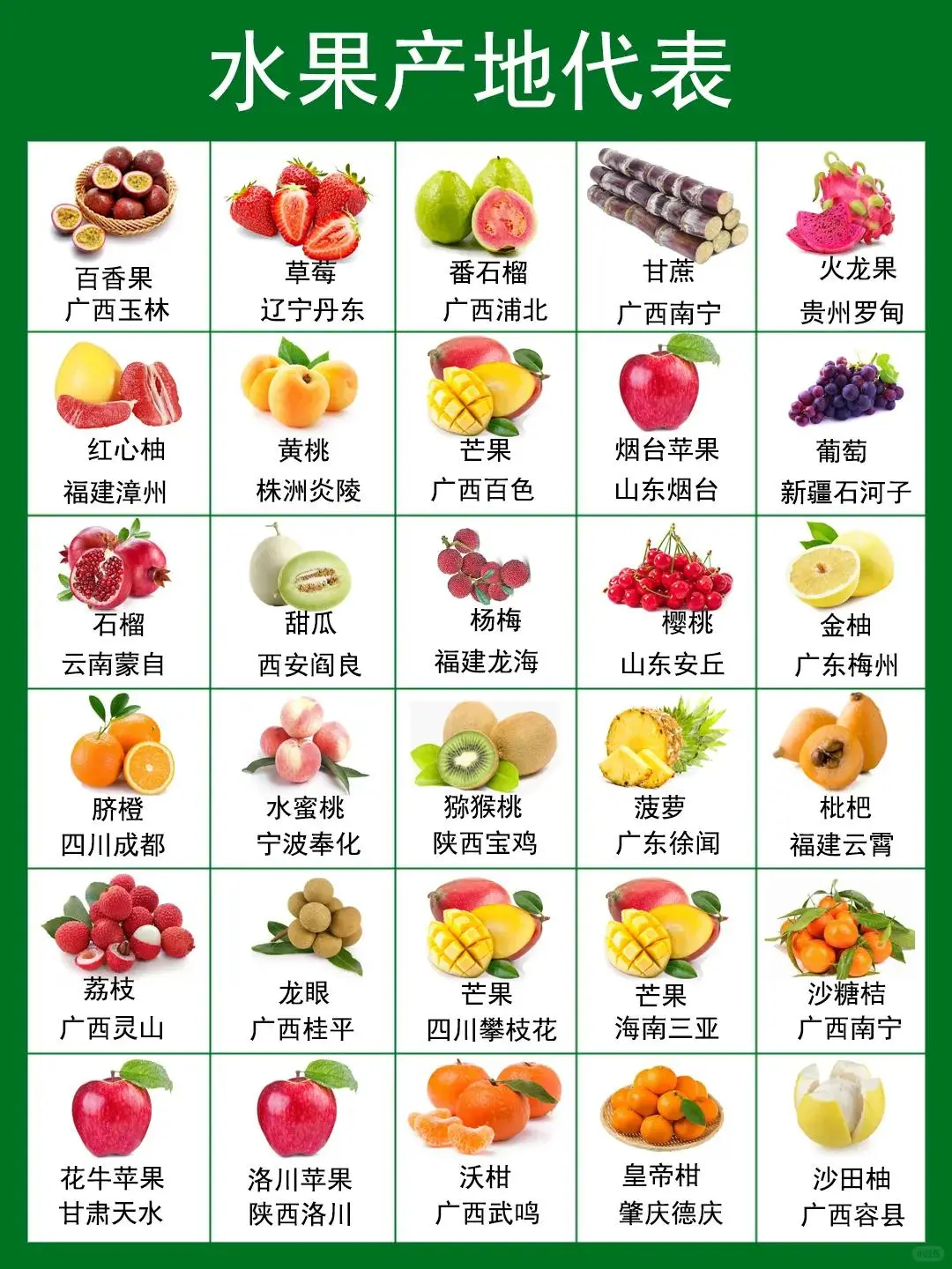 水果产地，好吃又便宜，应季水果