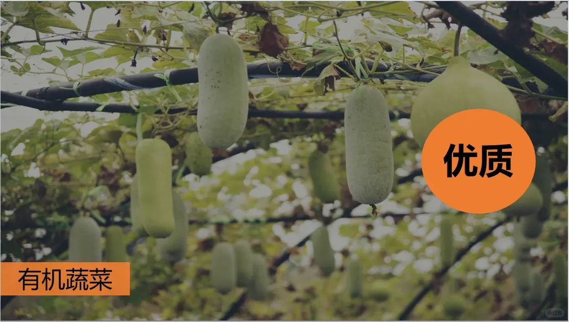 八上4.1中国的农业自用课件分享