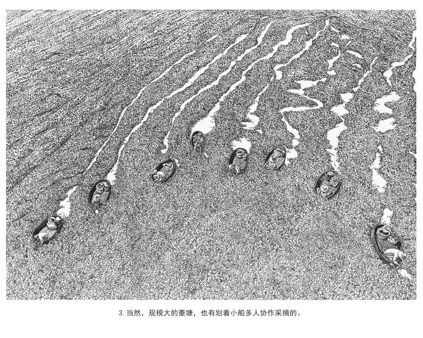 好创意国一（插画）