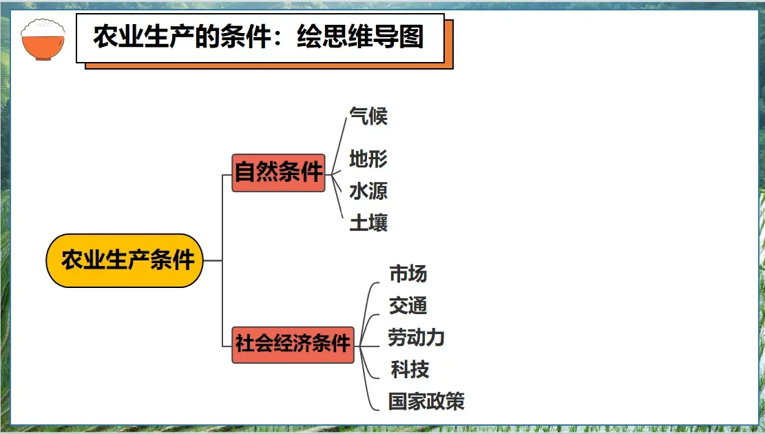 八上4.1中国的农业自用课件分享