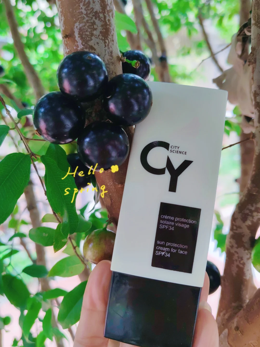 ?花园里的嘉宝果熟了