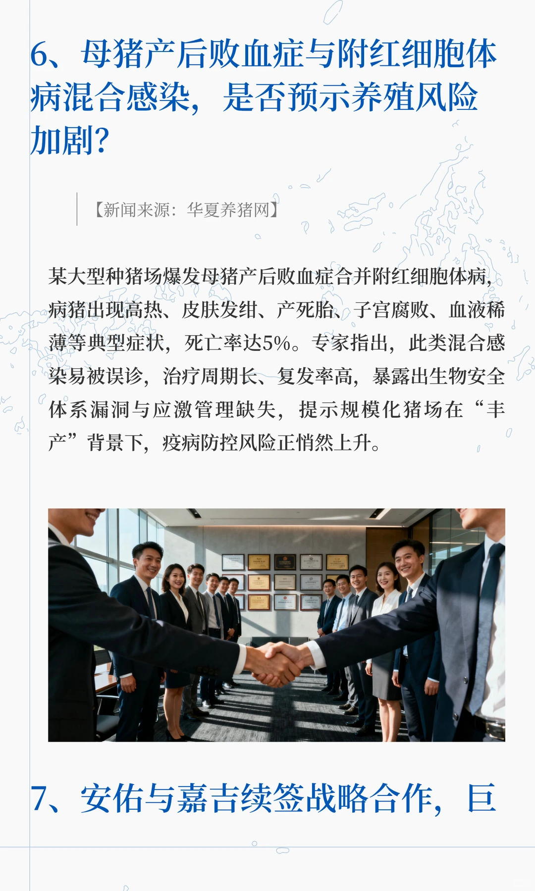 养殖户还在等“国家队”救市吗？『生猪新闻