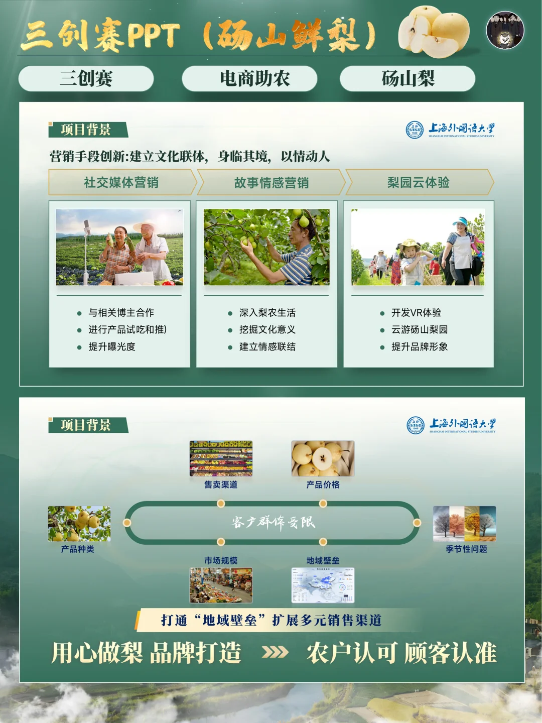 ?三创赛丨乡村振兴赛道电商助农PPT