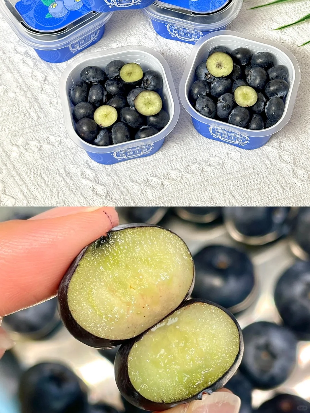 不会挑也能吃到好蓝莓！