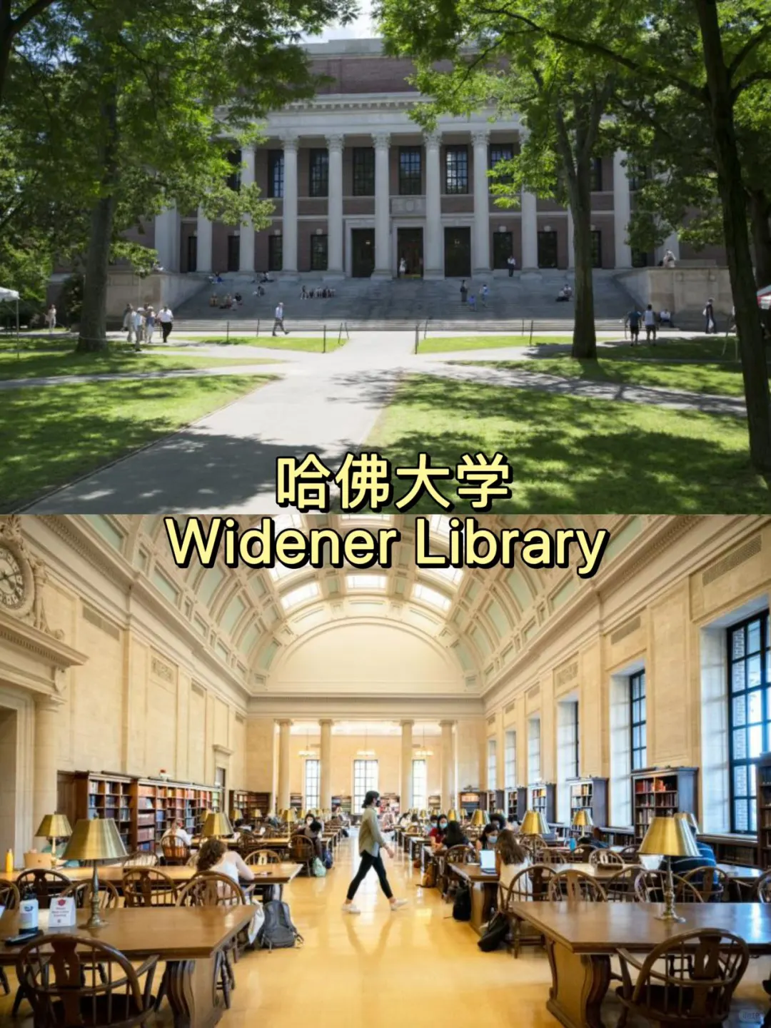 美国大学校园篇✨高颜值图书馆盘点
