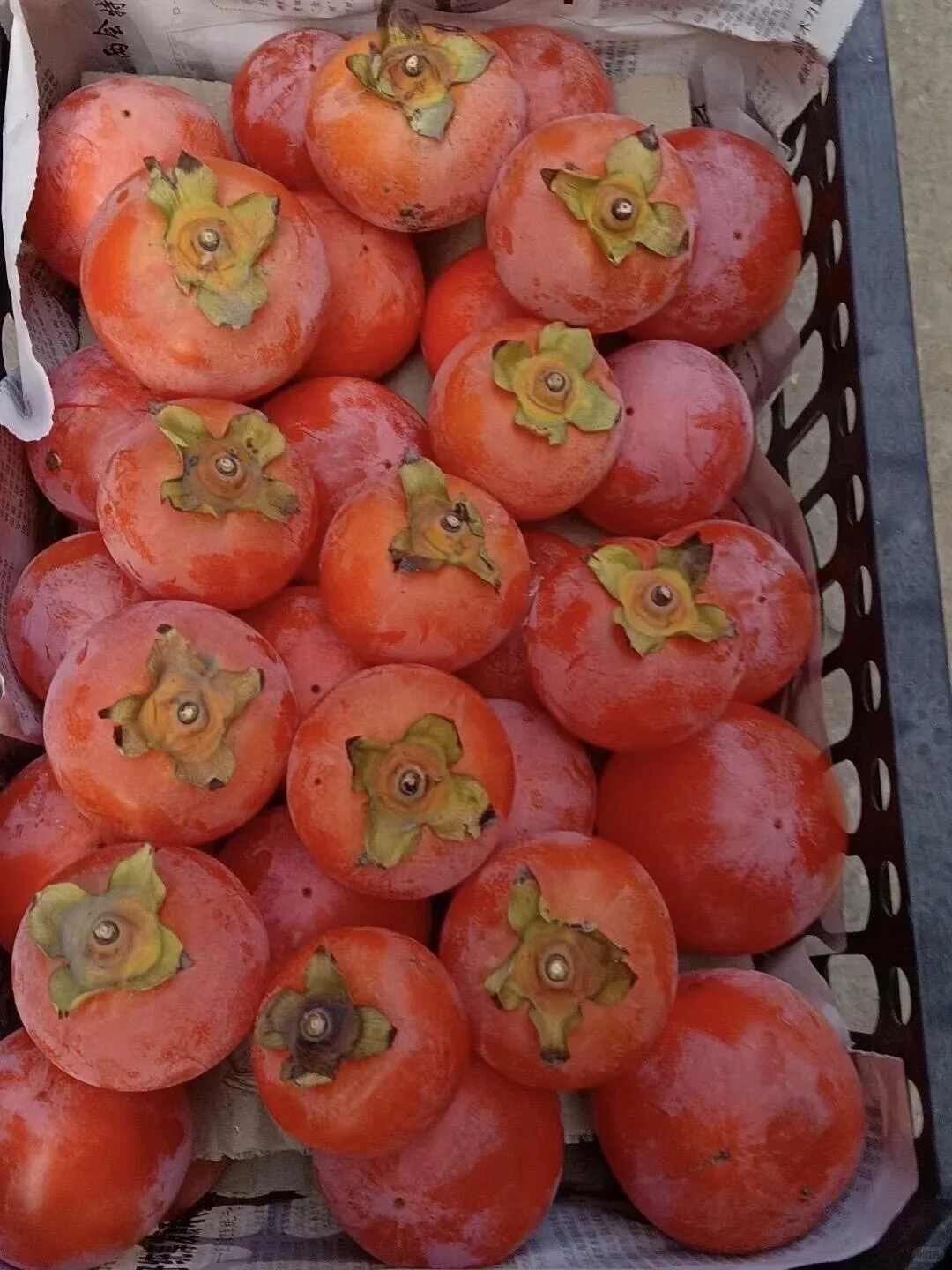 谁来救救这个被时代抛弃的水果呀……