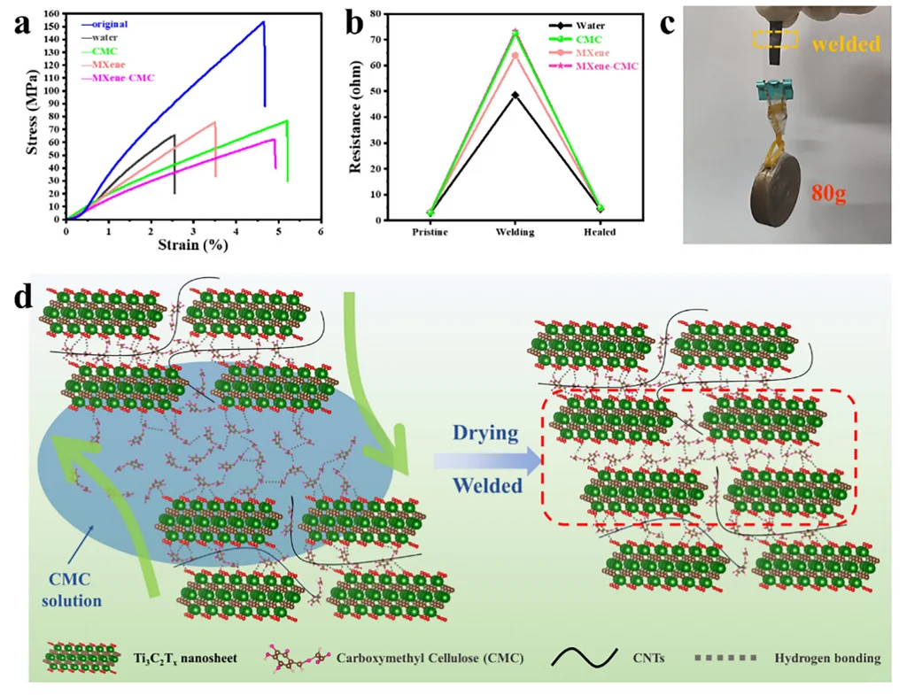焊接MXene-CNTs混合薄膜多刺激响应执行器