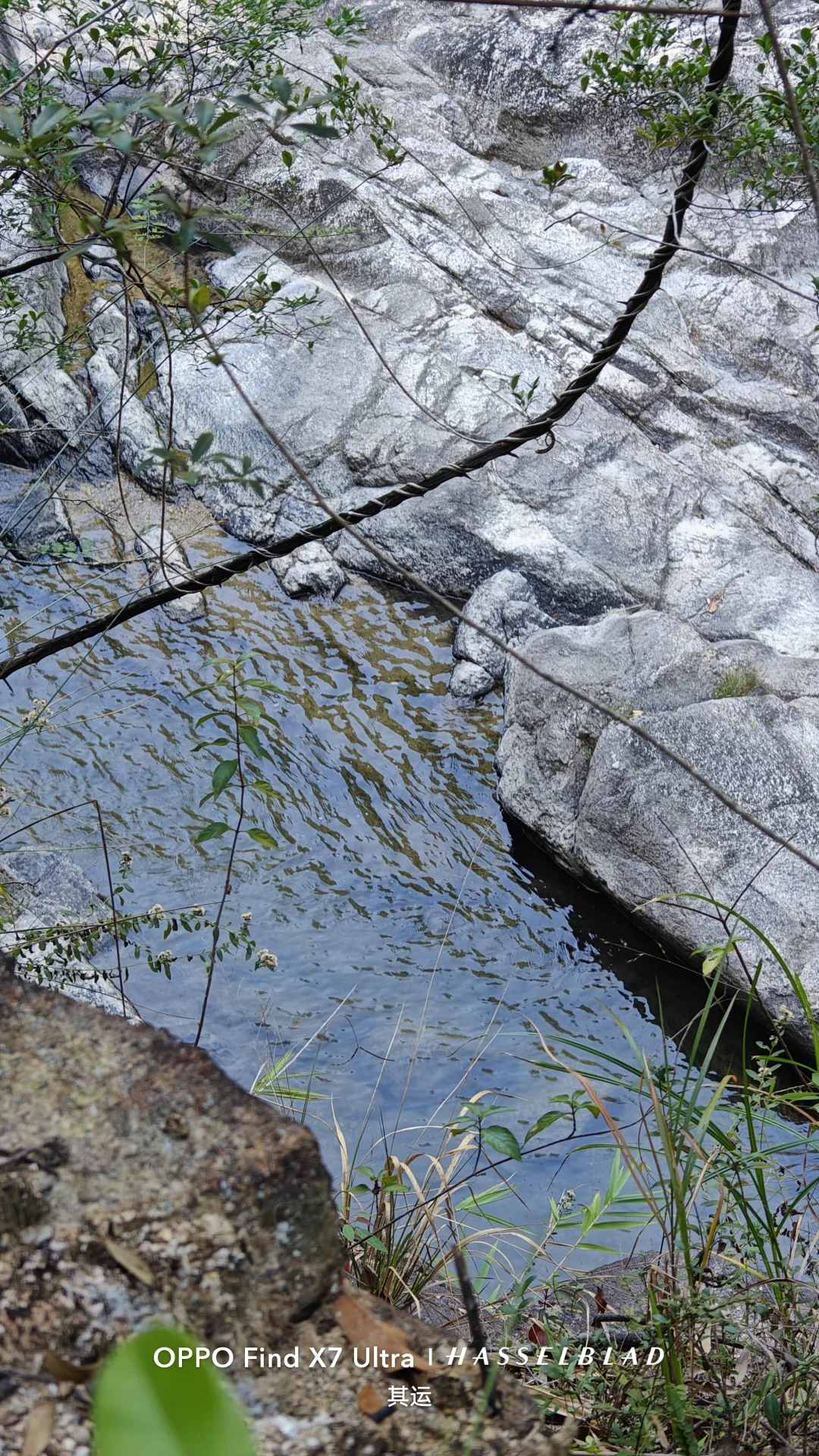 广东原生龟鳖调查(Day 13)