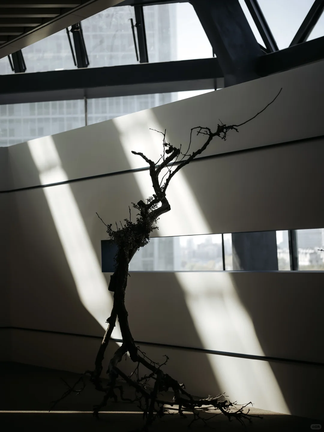 SIGMA x 上野雄次|西岸艺博会花道现场