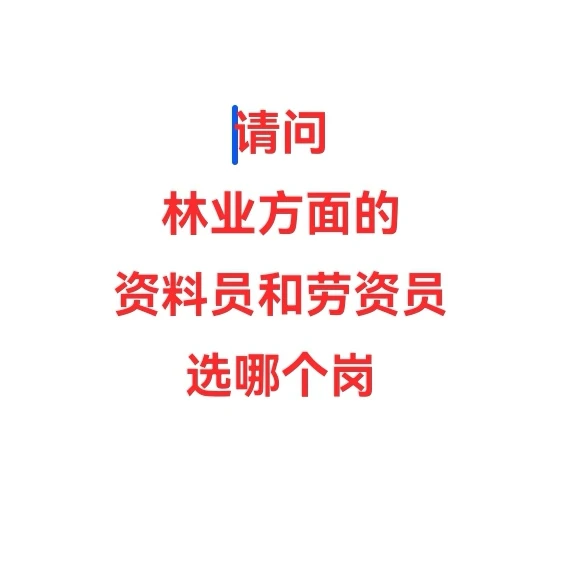 请问林业资料员和劳资员选哪个岗啊?