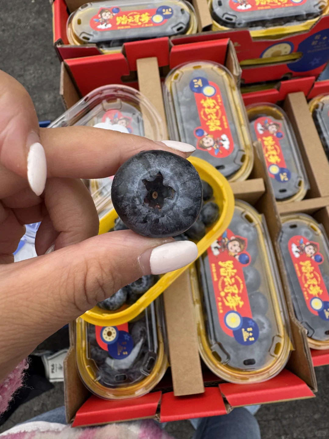 秋冬11月前期应季水果推荐｜好吃的水果品类