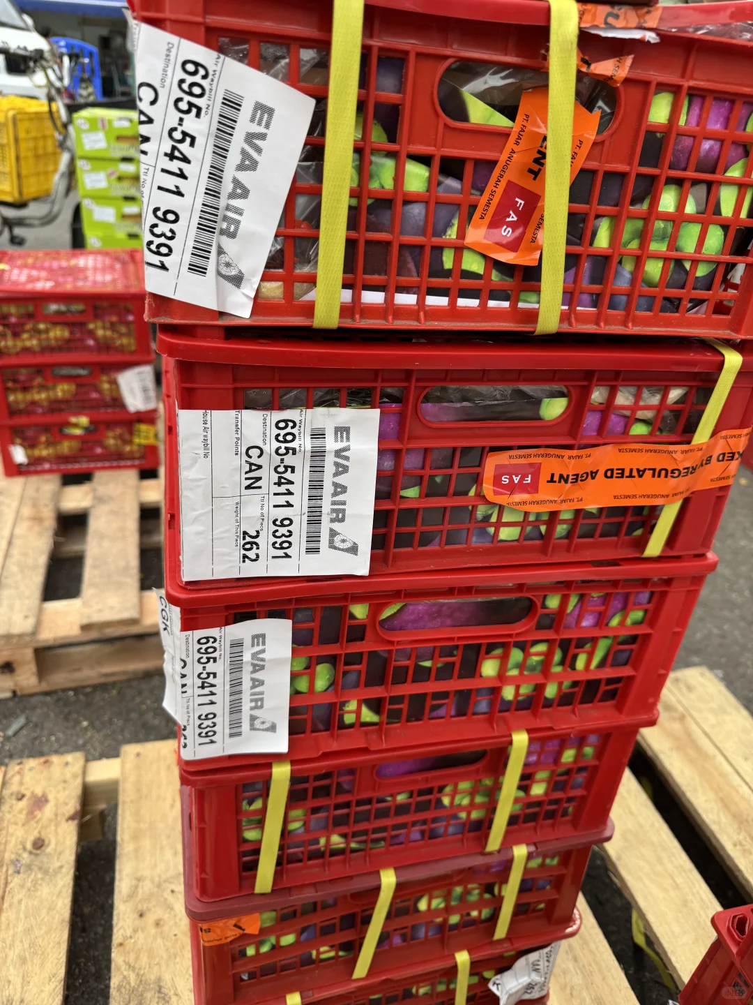 秋冬11月前期应季水果推荐｜好吃的水果品类