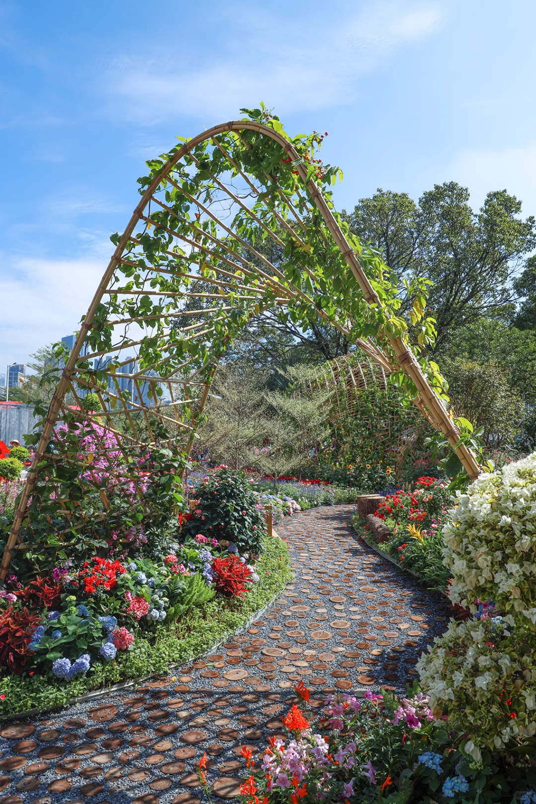 园林博览会+沙面