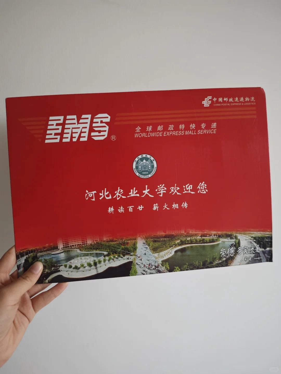 河北农业大学林业考研经验贴｜初复试资料