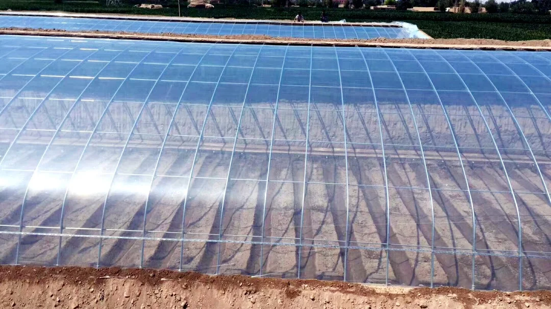 这款精品转光PO膜能让果子早两周上市