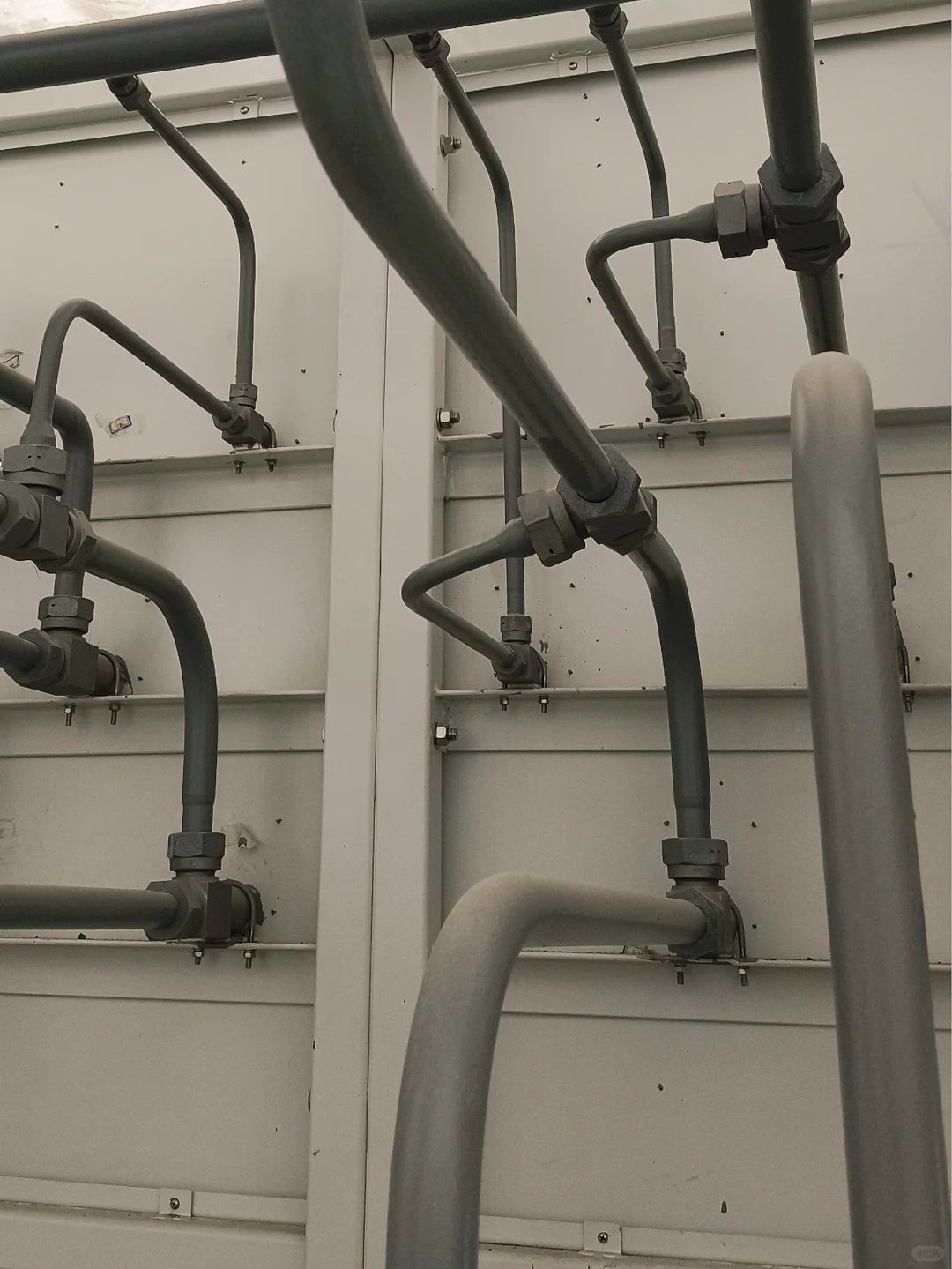 谁懂啊?猜猜看?