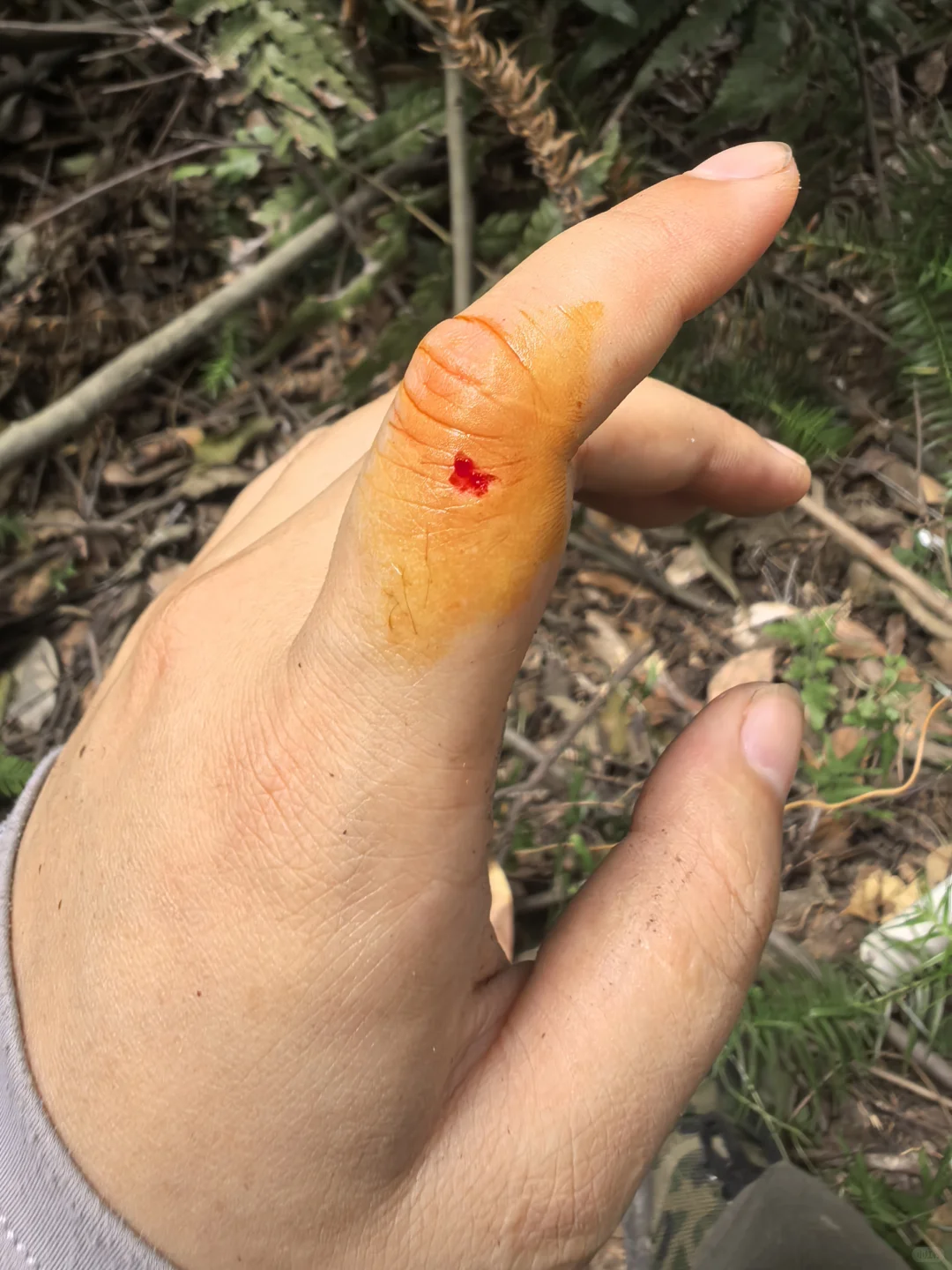 林业调查除了累，其他都挺好