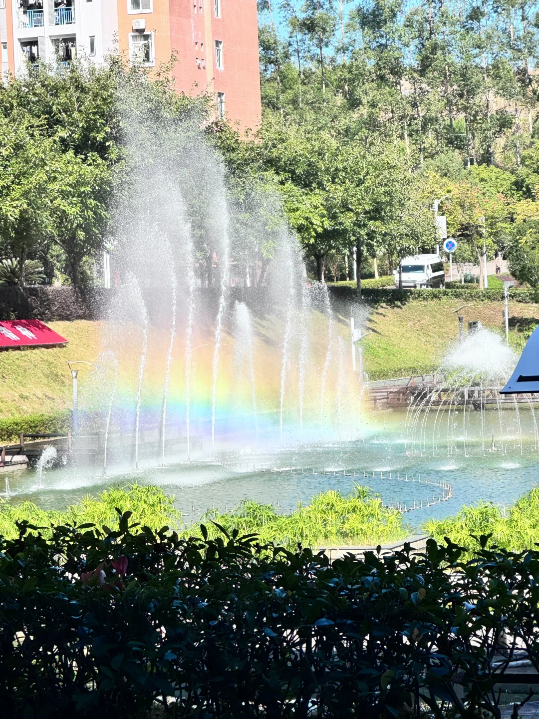 啊啊啊不是林业你也太好看了吧