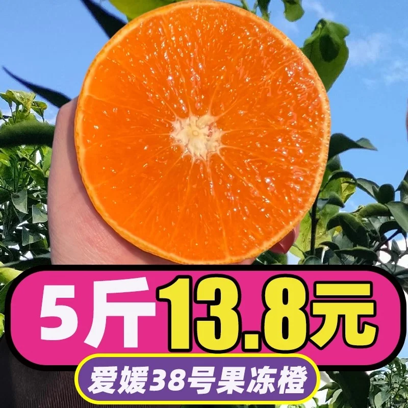 四川爱媛橙来啦?果冻感绝了！