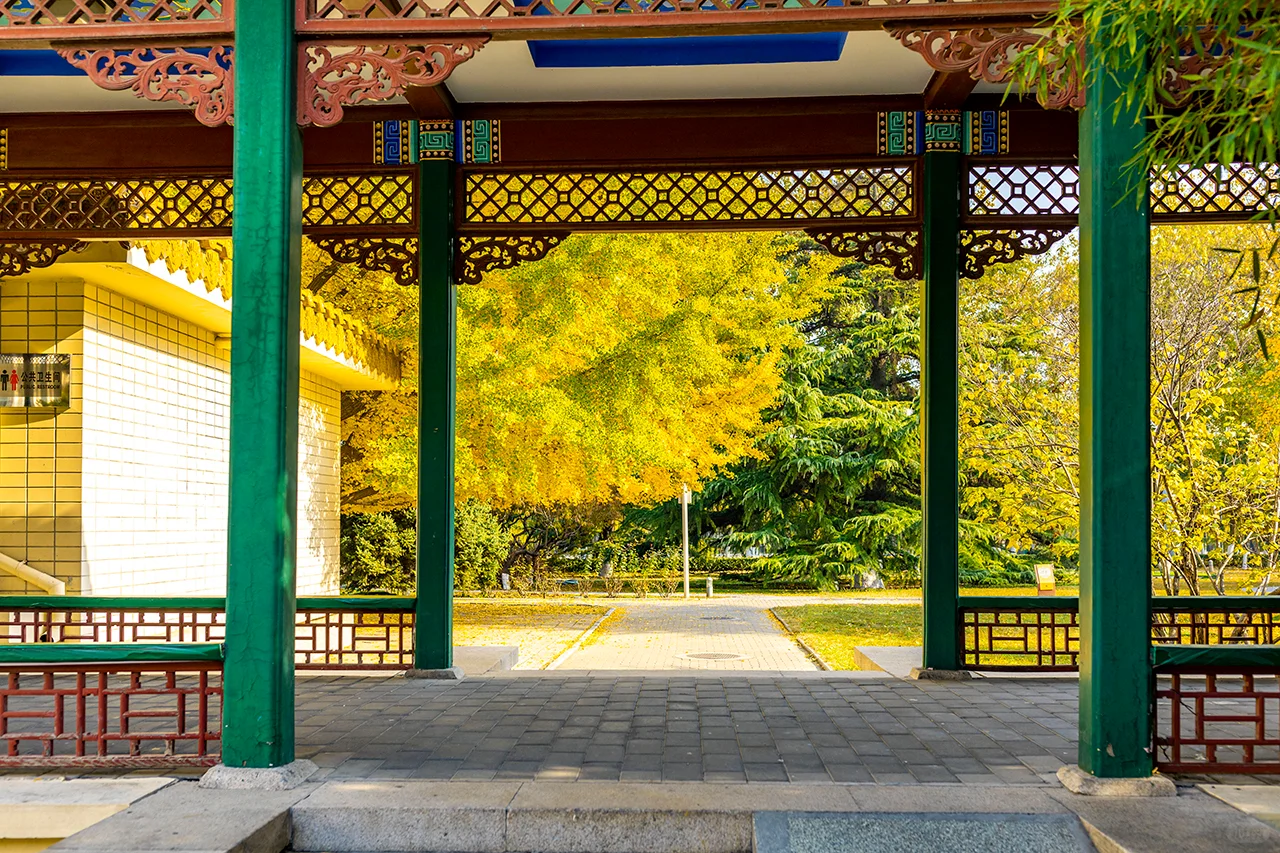 11.19全国农业展览馆｜打卡北京最后的秋天