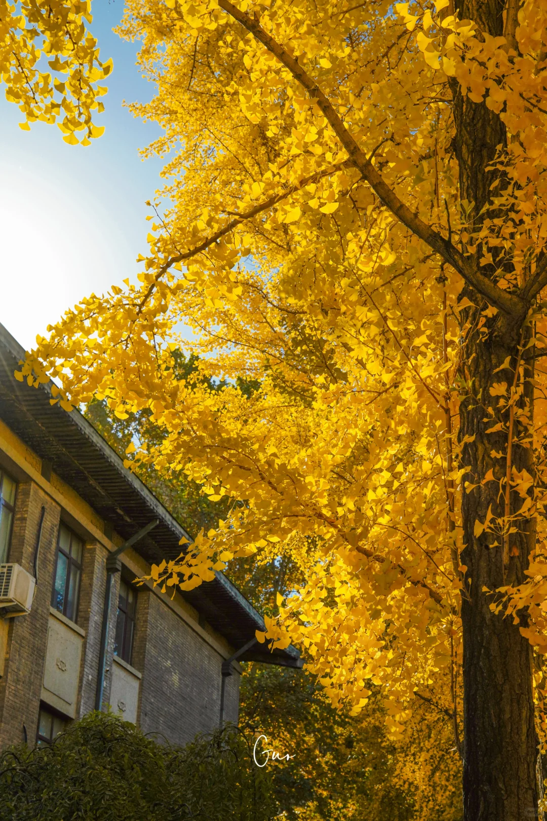 留住秋天的一百种方式