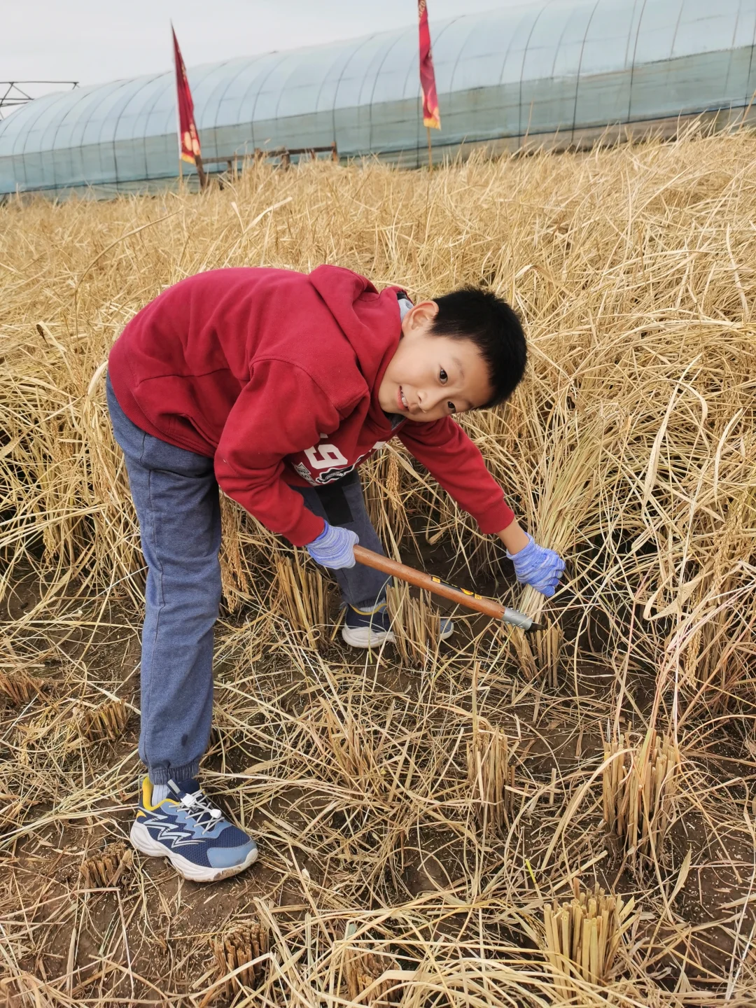 通州潞城遛娃可以去！