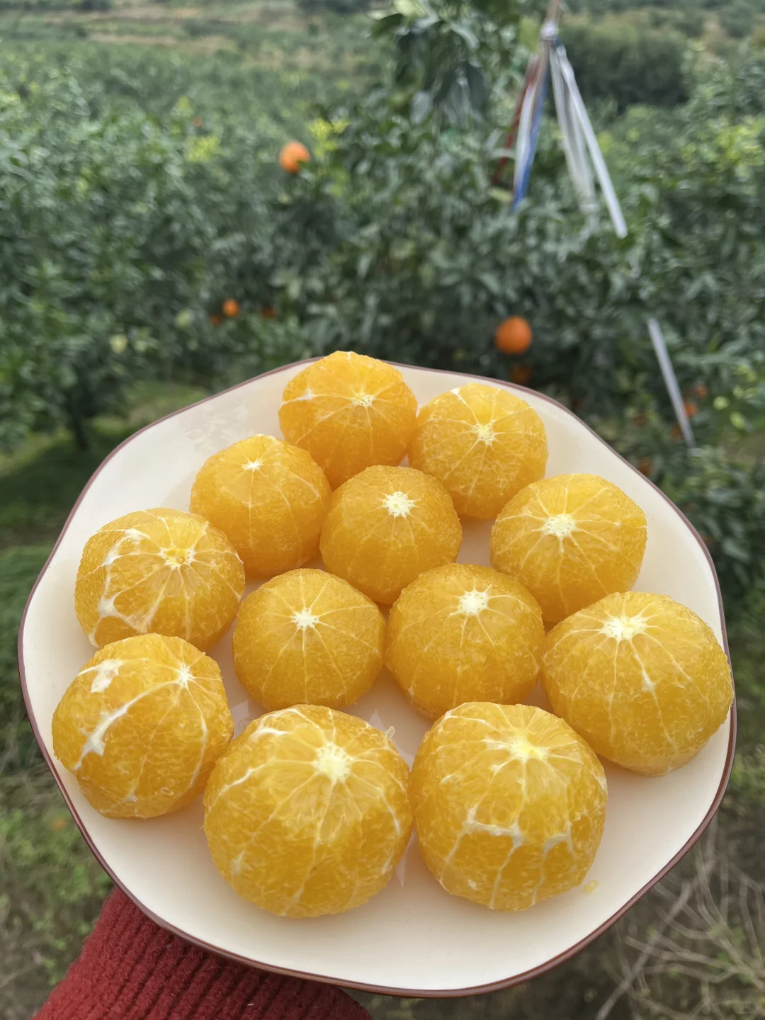 有没有姐妹可以救救这个快被淘汰的水果?