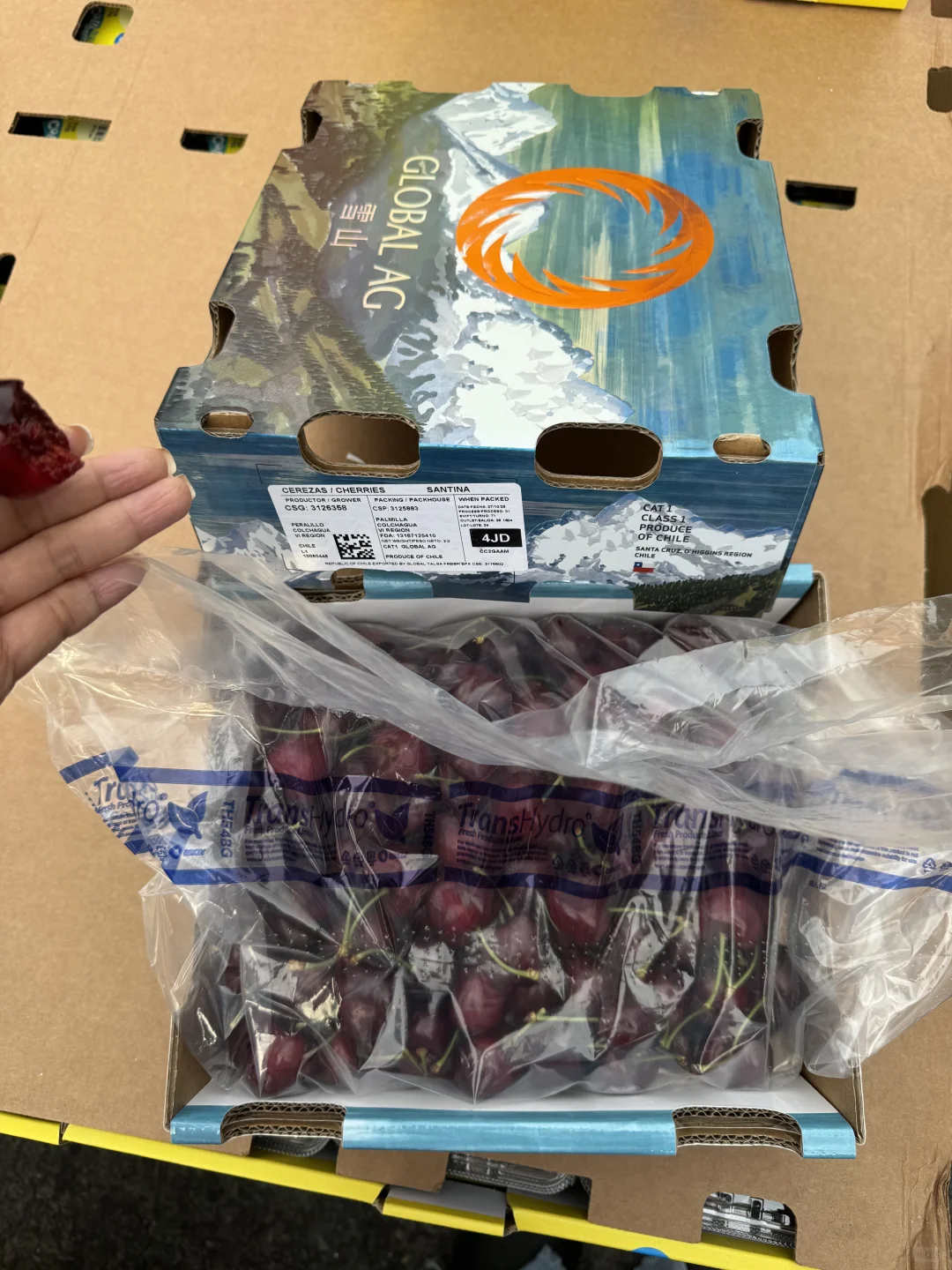 秋冬11月前期应季水果推荐｜好吃的水果品类