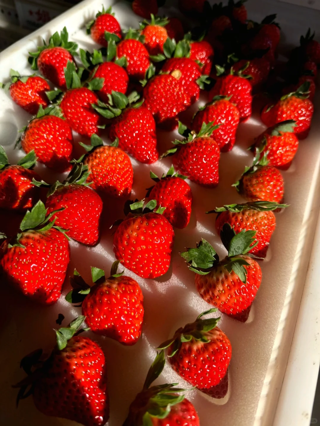 寻找水果代发货源，新鲜直达每一口！