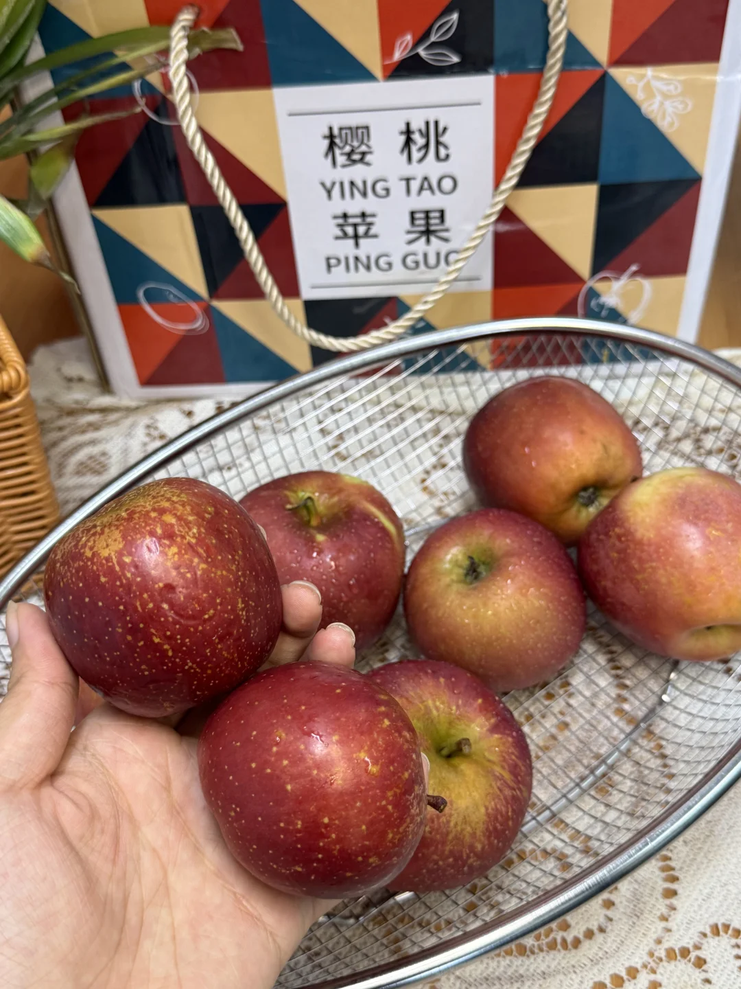 脆甜可口的樱桃?小苹果上市啦～十几带走！