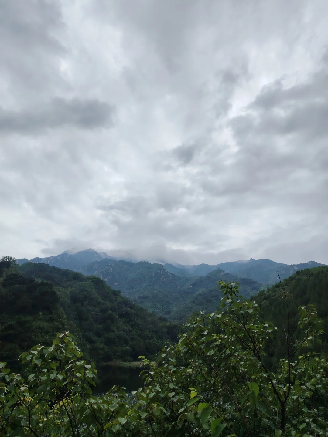 硕果累累的季节