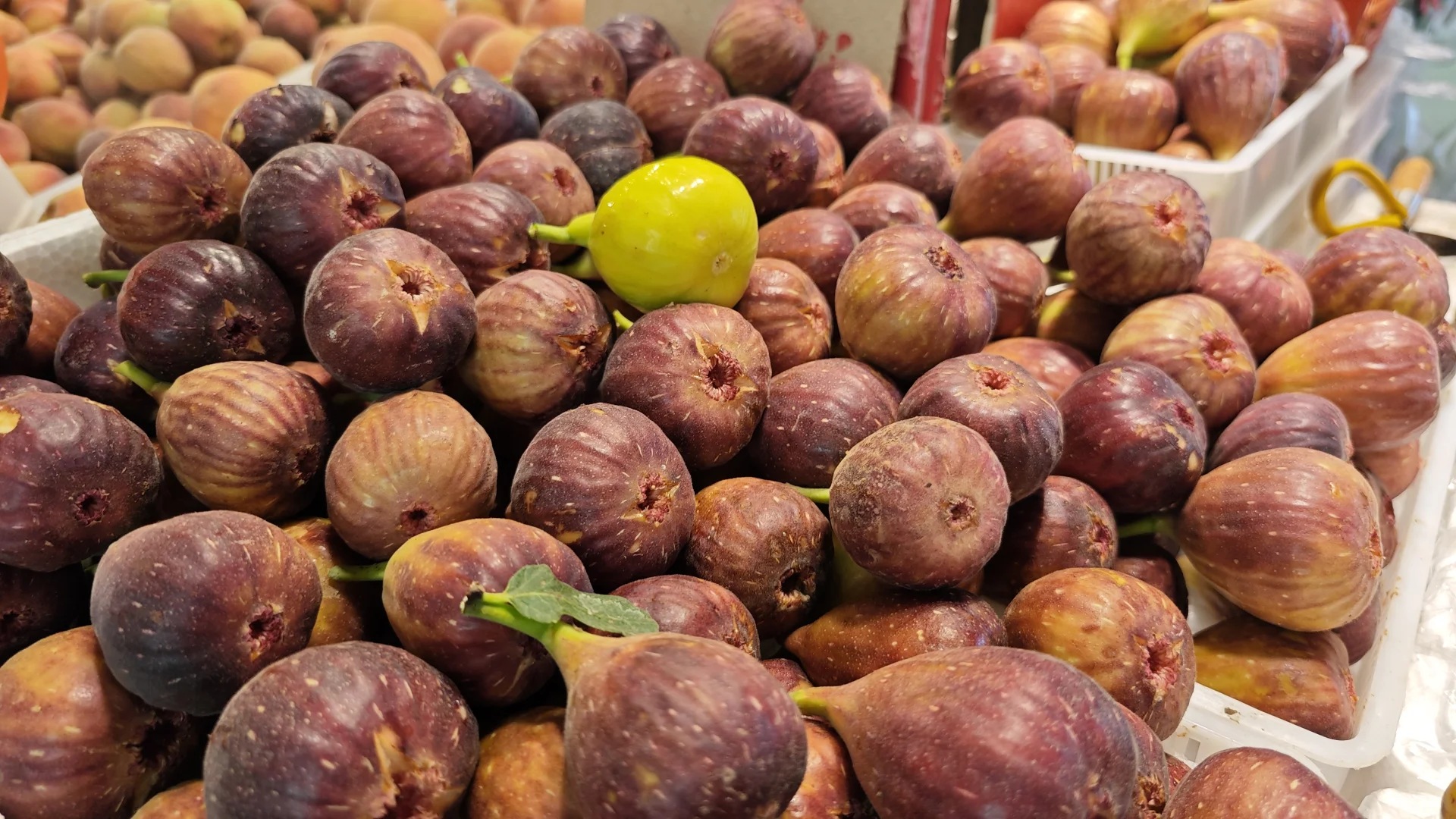 最漂亮的水果摊