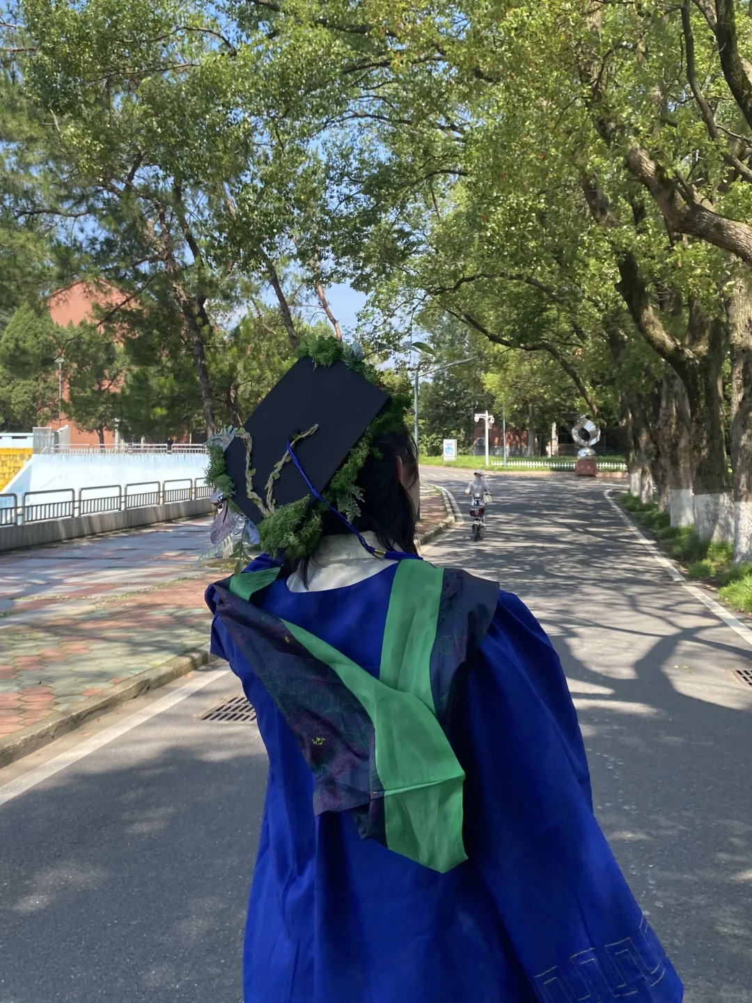 听说你也想知道林学/林业专业毕业了干啥？