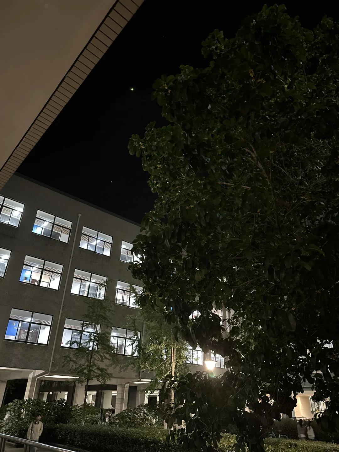 从头到尾呆在图书馆的周日