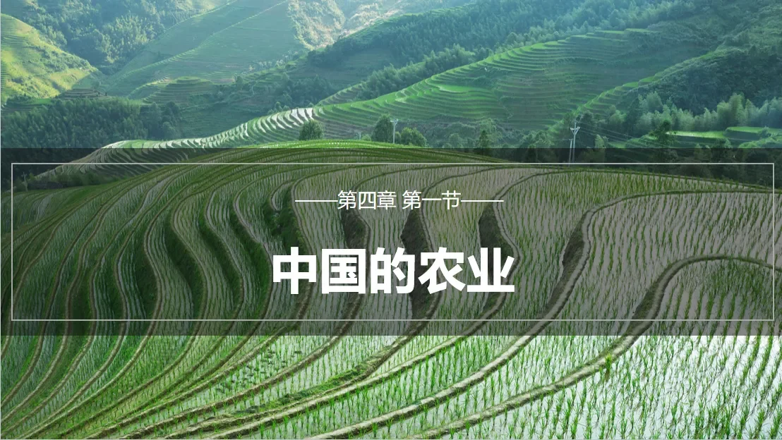八上4.1中国的农业自用课件分享