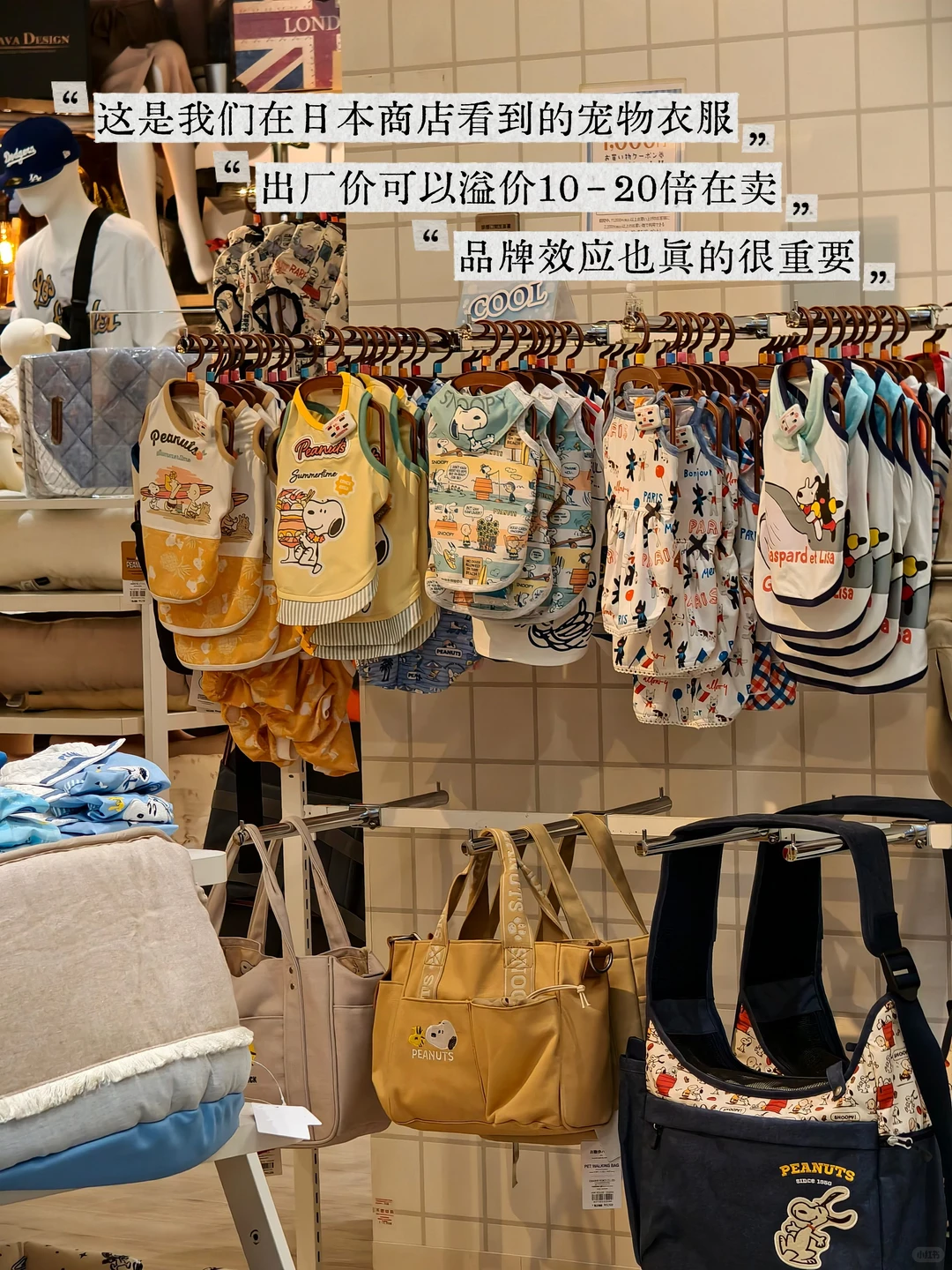 为什么说义乌是适合普通人做跨境的